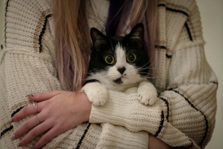 Your Old Cat Isn't Pulling Away – 13 Signs It Wants to Stay Right Beside You