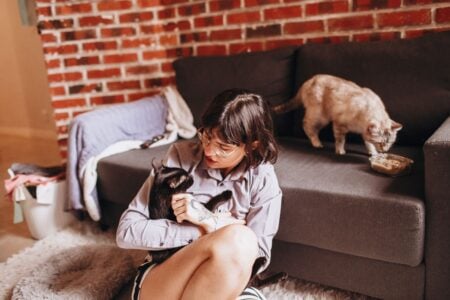 Do Cats Know When You Are Sad? The Surprising Way They Try to Heal Your Heart!