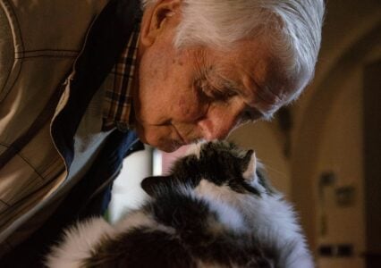 13 Ways an Aging Cat Tells You It Wants to Stay Near You Until the End