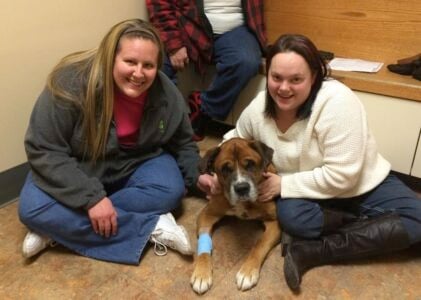15 Ways a Shelter Animal Tells You It Was Always Meant to Be Yours