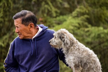 What a Dog Understands About Its Own Ageing: 17 Things Owners Never Consider