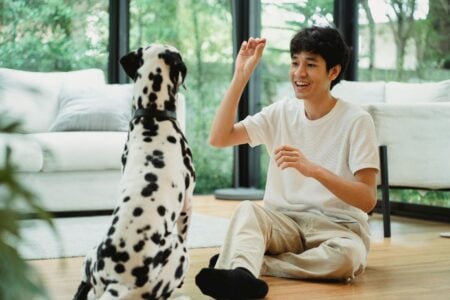 8 Quiet Things Dogs Do When They Want Reassurance Without Asking for Attention