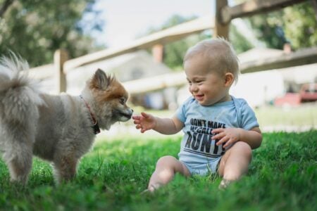 13 Things Shelter Workers Say Reveal Everything About How a Dog Was Raised