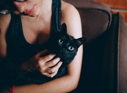 The 18 Signs Your Aging Cat Has Chosen You to Be Beside It When the Time Finally Comes