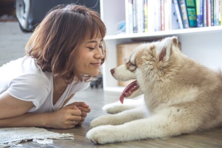 15 Ways Dogs Turn Downsizing Into a Joyful Transition