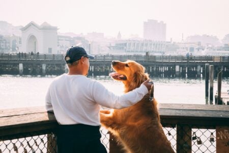13 Things You Only Learn About a Dog in the Final Week Together