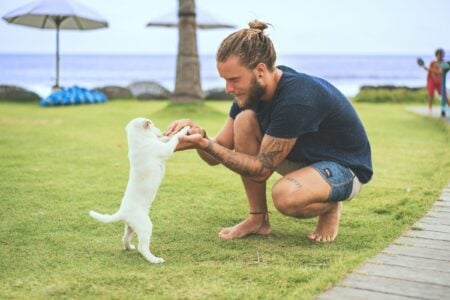 The 14 Things Dog Trainers Wish Owners Had Known Before the First Year Went Wrong
