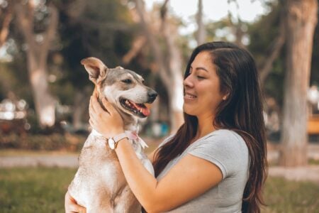 18 Quiet Ways a Dog Marks the Person It Has Decided to Stay Beside