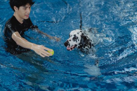 17 Dog Breeds That Have Quietly Vanished From Neighbourhoods Where They Were Once Everywhere
