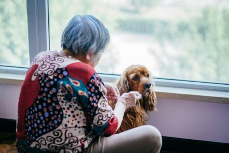 19 Tender Things a Senior Dog Does Only for the One Person It Has Truly Chosen